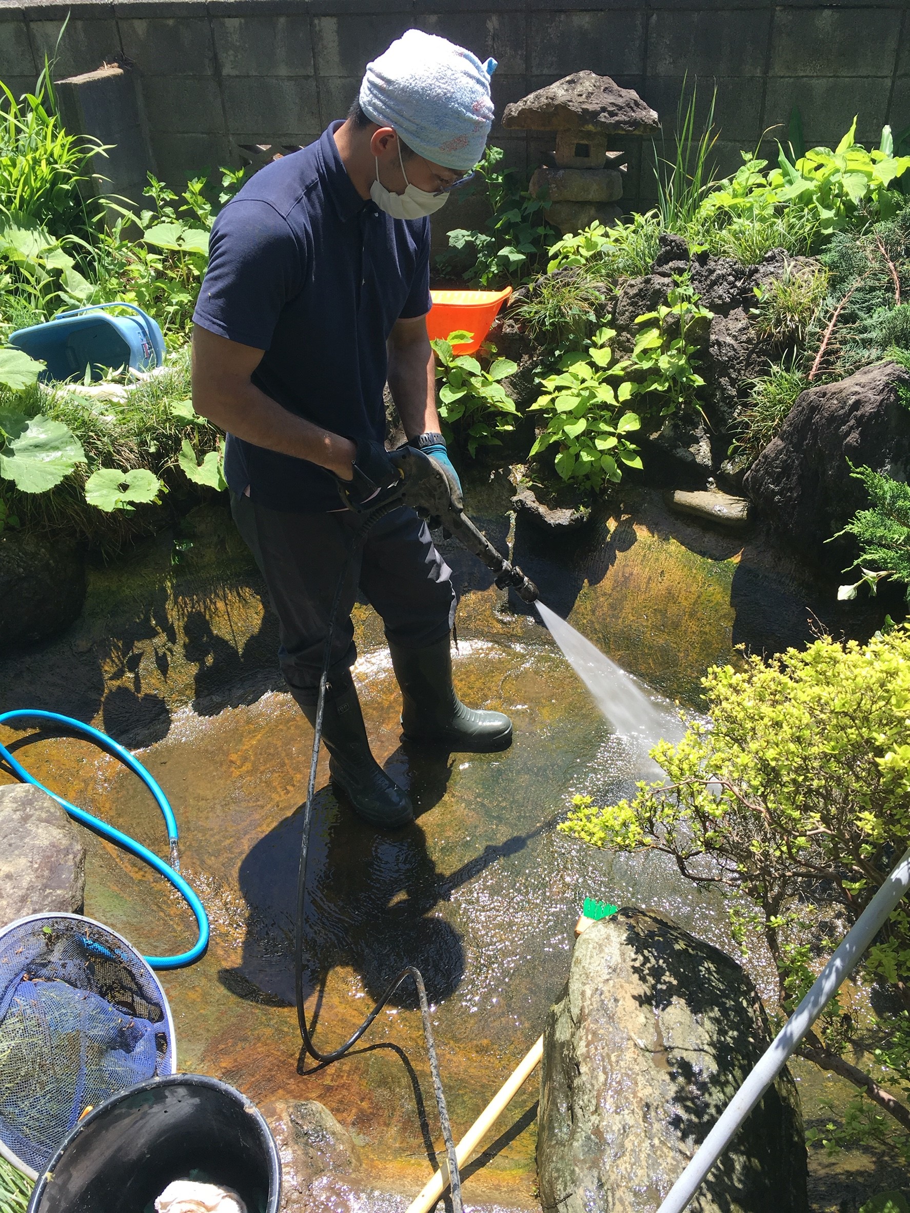 30歳のコイが住む庭池の清掃 ポンプの交換