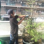 千葉市　稲毛区にて、木の伐採を行いました