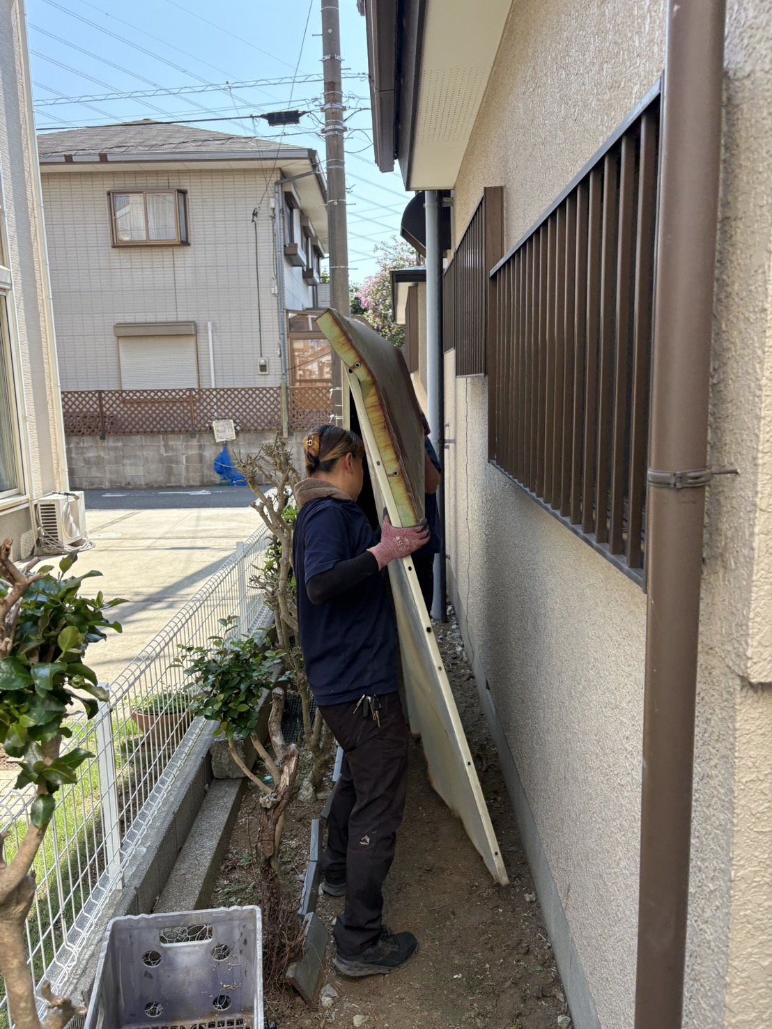 S__6553636_0