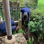 佐倉市｜草木伐採、庭石撤去、抜根作業